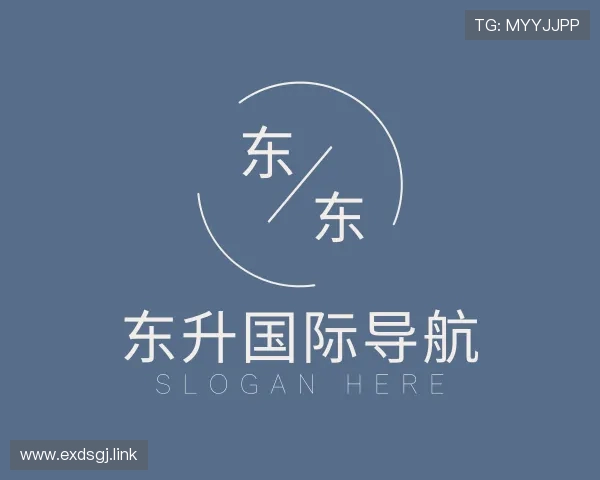 知道东升国际导航