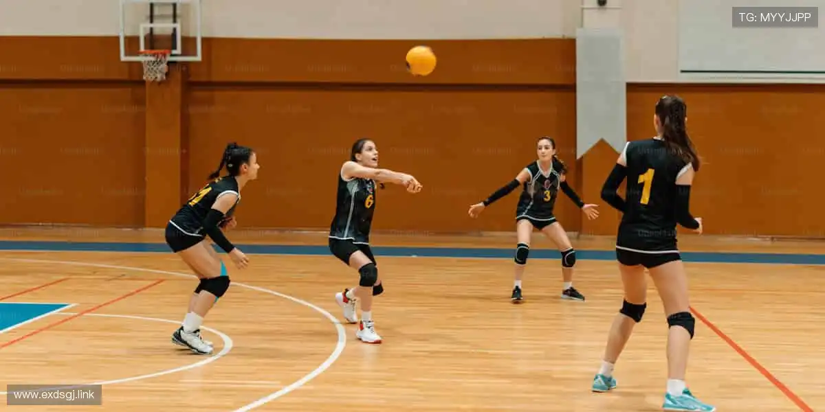 🌐📺 全球直播,同步狂欢!